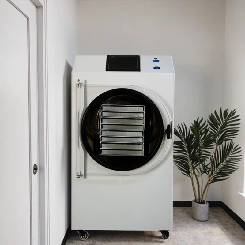 Asciugatrice automatica contro - Dried Fruit recensione e prezzo