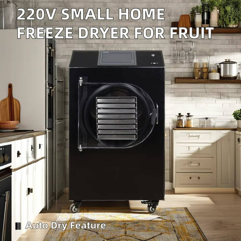 Asciugatrice automatica contro - Dried Fruit recensione e prezzo
